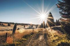 Krušné hory, hory, Česko, příroda, CHKO