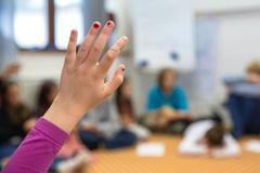 Osvobozená základní škola, demokratická škola