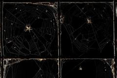 Nominace na Czech Nature Photo 2024