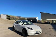 Nio EL6 vs. Tesla Model Y