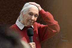 Jane Goodallová