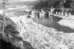 Vodní nádrž Štěchovice, Štěchovice, přehrada, vodní elektrárna, historie, stavba, výročí, Domácí