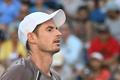 Andy Murray, Australian Open 2024
