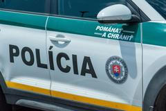 Slovensko, policie