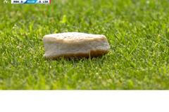 Fanoušci v Norsku házeli na trávník i rybí koláče