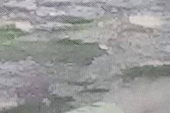 Ruský "želví" tank