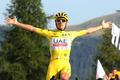 Tadej Pogačar, Tour de France 2024