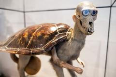 Jan Švankmajer, GASK, 2024