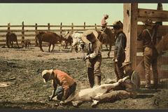 Historické fotky, fotochrom. Colorado krátce po odeznění zlaté horečky 1890-1905.
