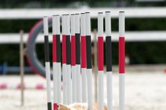 Prague Aglility Party 2023: evropské kynologické závody na dostihovém závodišti ve Velké Chuchli