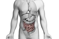 První příznaky - zánět slepého střeva