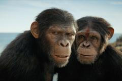 Království Planeta opic, film, 2024