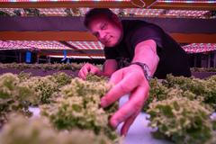 Aquaponická farma Rybí zahrada u Hostomic