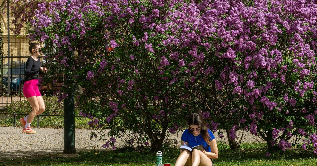 Třetina měřicích stanic hlásí teplotní rekordy, padly i absolutní rekordy