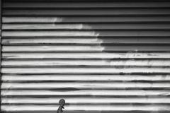 Nora Brown, Stephanie Coleman