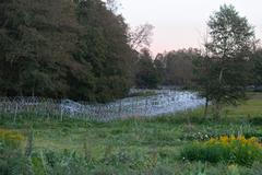 Bělověž, bělověžský prales, hranice s Běloruskem, polská armáda