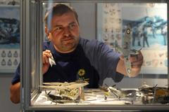 Z bitvy nad Jindřichohradeckem nebyla nalezena jedna sestřelená stíhačka