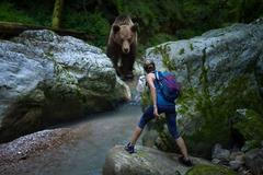 Divoký medvěd a turistka