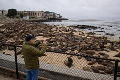 lachtan kalifornský