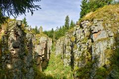 Krušné hory, hory, Česko, příroda, CHKO