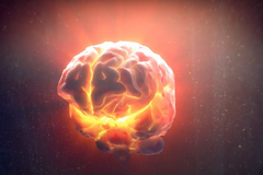 Nové molekuly z ÚOCHB snižují chuť k jídlu a chrání mozek před nemocemi typu Alzheimerovy choroby