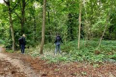 Francie, vražda, pátrání