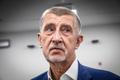 Hnutí ANO Volby do evropského parlamentu Andrej Babiš
