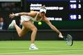 Wimbledon tenis 2024 Markéta Vondroušová