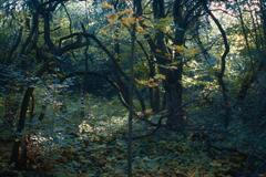 Top foto 2024: Daniel Poláček. Ukázky z volné tvorby