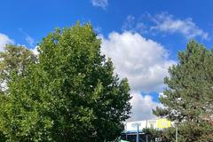 Zaplavený fotbalový stadion v Opavě