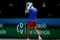 tenis, Davis Cup 2024, Španělsko - Česko, Tomáš Macháč