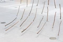 Ve věci umění, Národní galerie, 2024