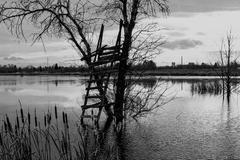 Fotografie y z výstavy panoramatických snímků Ostravska nazvané Nudlařii, která je k vidění v Café Prostoru_ v pražské Národní technické knihovně.