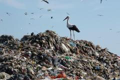 Seno, sláma, skládka, Galerie Václava Špály, 2023