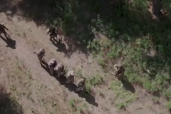 Třeba tyto záběry zajatých ukrajinských vojáků v Kursku Rusové zveřejnili v půlce srpna