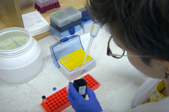 Video laboratoře, která se zabývá adaptacemi norníka