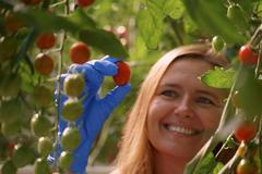 BO_SZIF_Bezdinek_uvodni