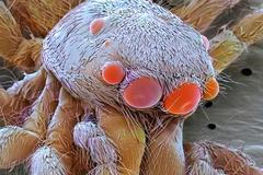 život pod mikroskopem