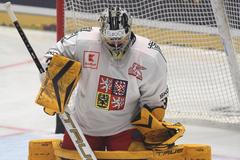 Šimon Zajíček, Česko - Švýcarsko