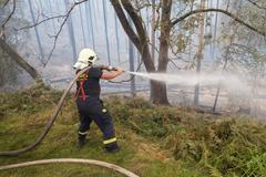 Požár České Švýcarsko, Hřensko, hasiči, oheň