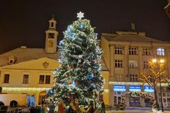 louny vánoční stromek