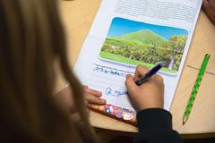 Osvobozená základní škola, demokratická škola