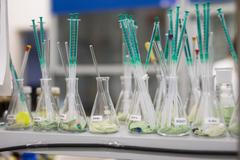 Laboratoř Vysoká škola chemicko-technologická, výzkum, věda, Akademie věd, chemie, fyzika, biologie, vědec, vědkyně, laborant