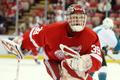 Dominik Hašek v dresu Detroitu Red Wings (2007)