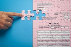 Nač si dát pozor u daní - Ikona, poutak