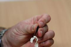 Tasemnice Skulovec Lipno