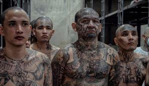 cecot salvador věznice