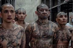 cecot salvador věznice