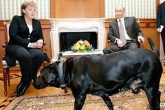 Putin, Merkelová