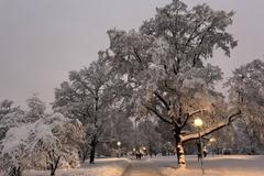 počasí zima sníh mráz závěje kalamita